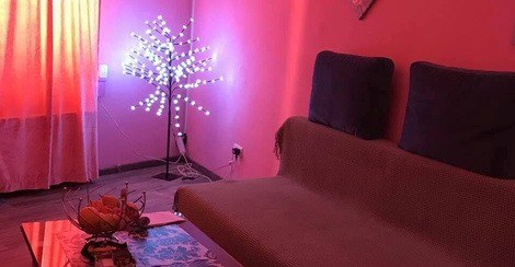 Studio Niko 64