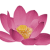 place-logo