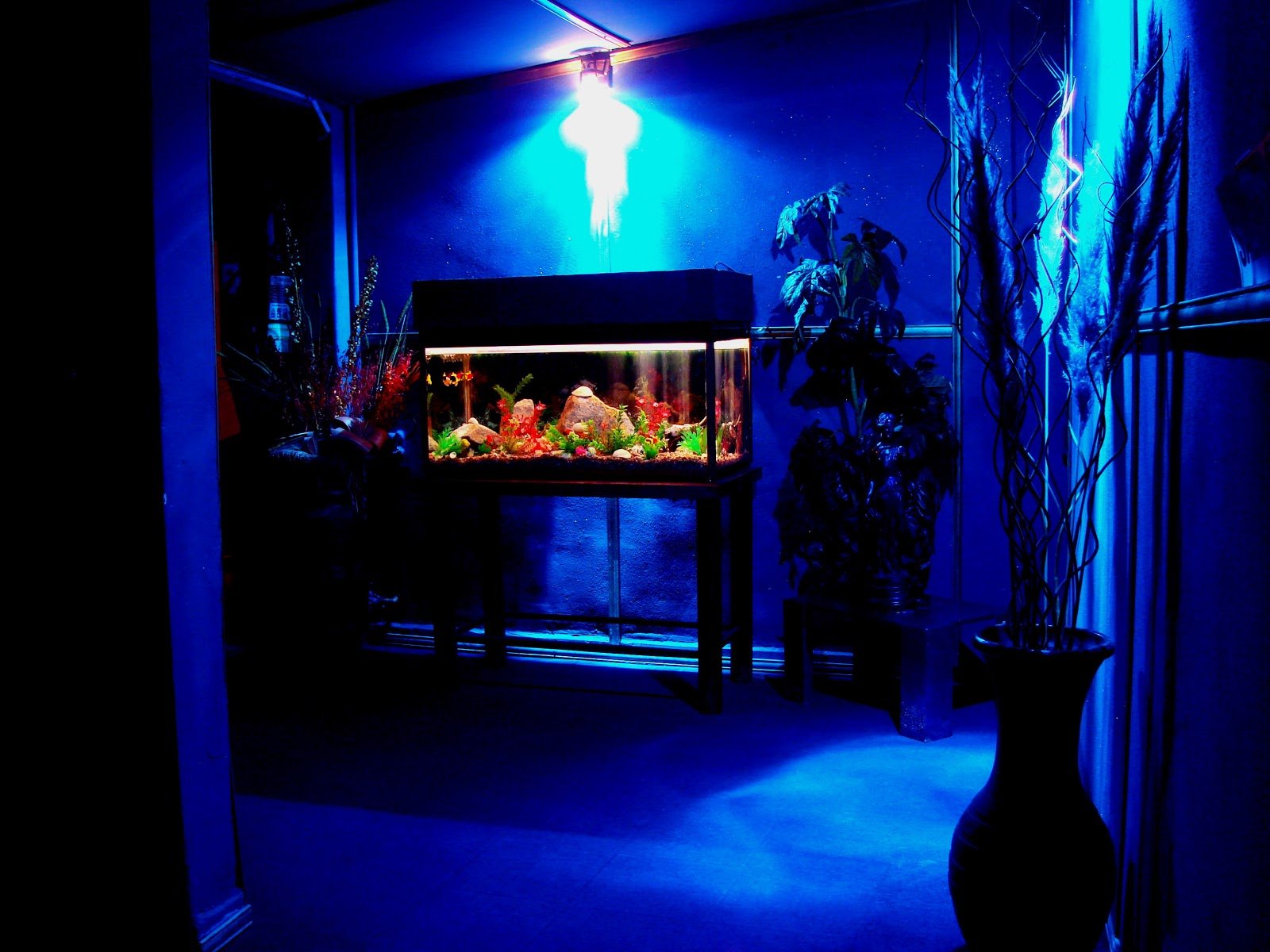 Enroque Club - Nightclub in Cordoba, Argentina