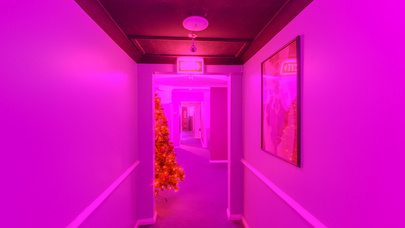 Desires Parlour/18 - Brothel in Brookvale, Australia