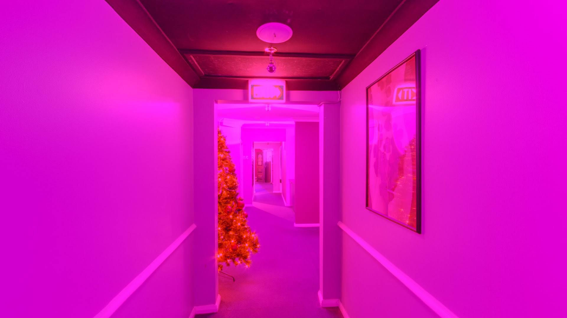 Desires Parlour/18 - Brothel in Brookvale, Australia