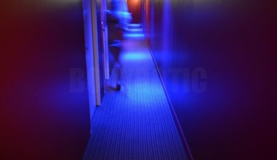 Bodyrotic - Sydney's Premier Erotic Massage Venue - Erotic Massage in Camperdown, Australia