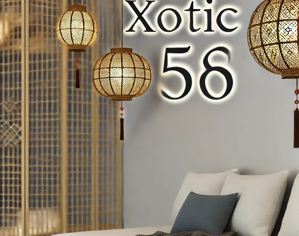Xotic 58 - Brothel in Lidcombe, Australia