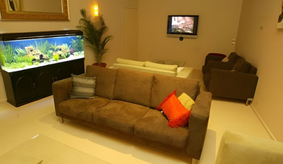 Luv Asian - Gold Coast Brothel - Brothel in Molendinar, Australia