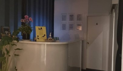 Venus Mosman - Erotic Massage in Mosman, Australia