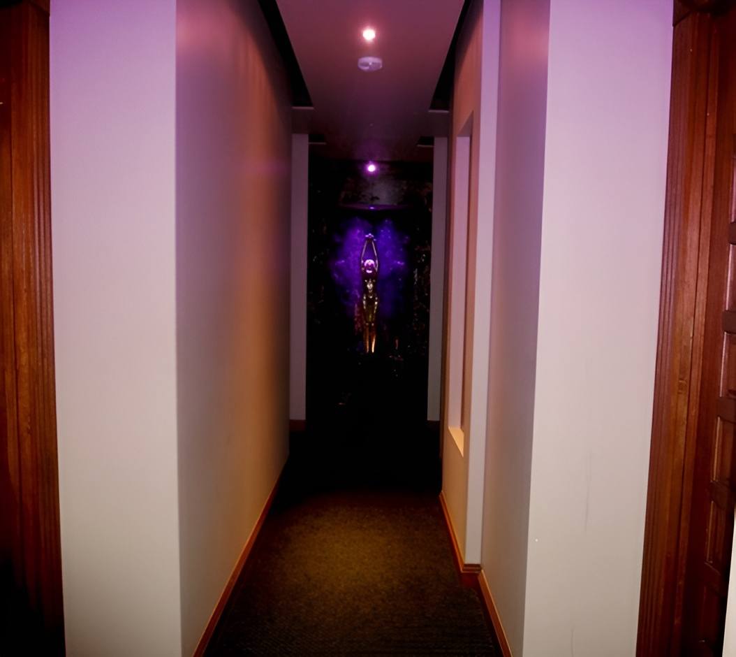 Le Penthouse Suite - Gold Coast Brothel - Brothel in Tweed Heads, Australia