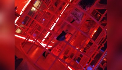 Cafe 66 Bar - Nightclub in Bad Erlach, Austria