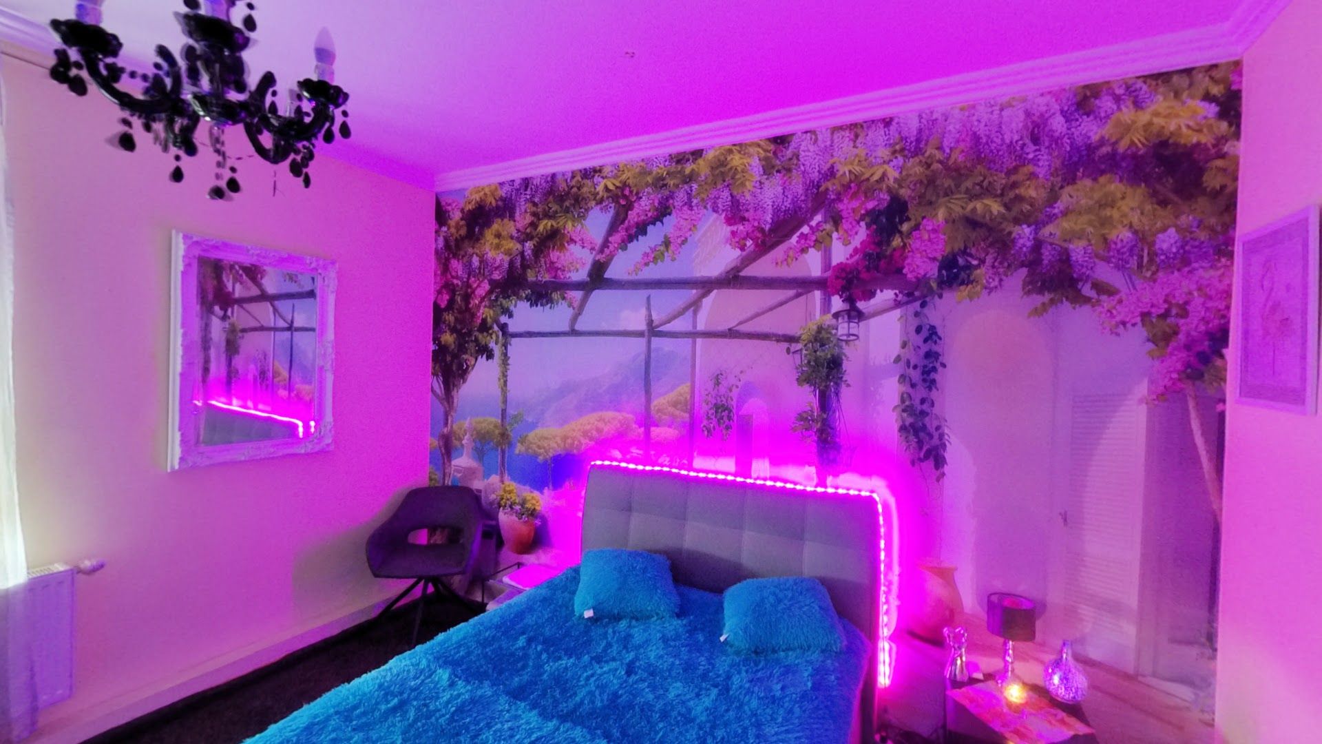 Nightclub Flamingo - Nightclub in Geinberg, Austria