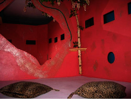Swingerclub Lady Sunshine - Swinger Club in Graz, Austria