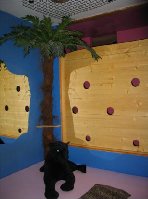 Swingerclub Lady Sunshine - Swinger Club in Graz, Austria