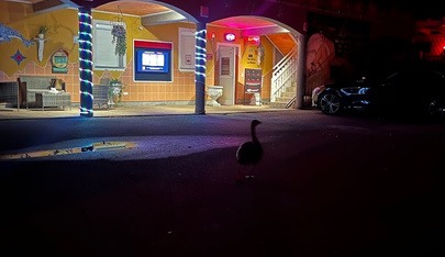 Nightclub Eveline - Nightclub in Kremsmunster, Austria