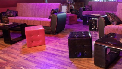 Grottenbar - Der N°1 Nachtclub Im Innviertel - Nightclub in Probenzing, Austria