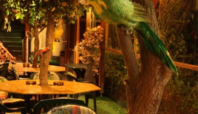 Erlebnissauna Caribik Swingerclub - Swinger Club in Seisenegg, Austria