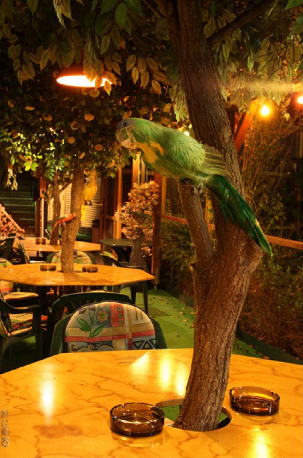 Erlebnissauna Caribik Swingerclub - Swinger Club in Seisenegg, Austria