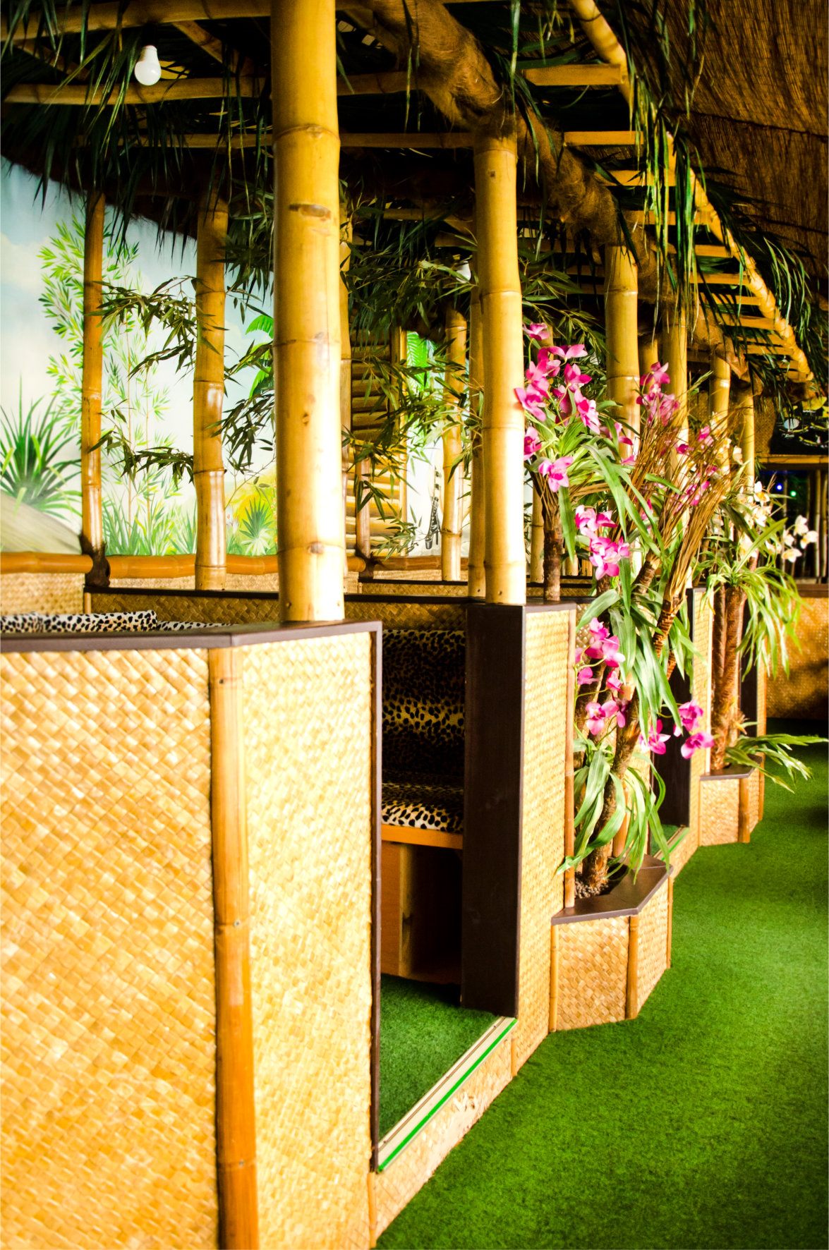 Erlebnissauna Caribik Swingerclub - Swinger Club in Seisenegg, Austria