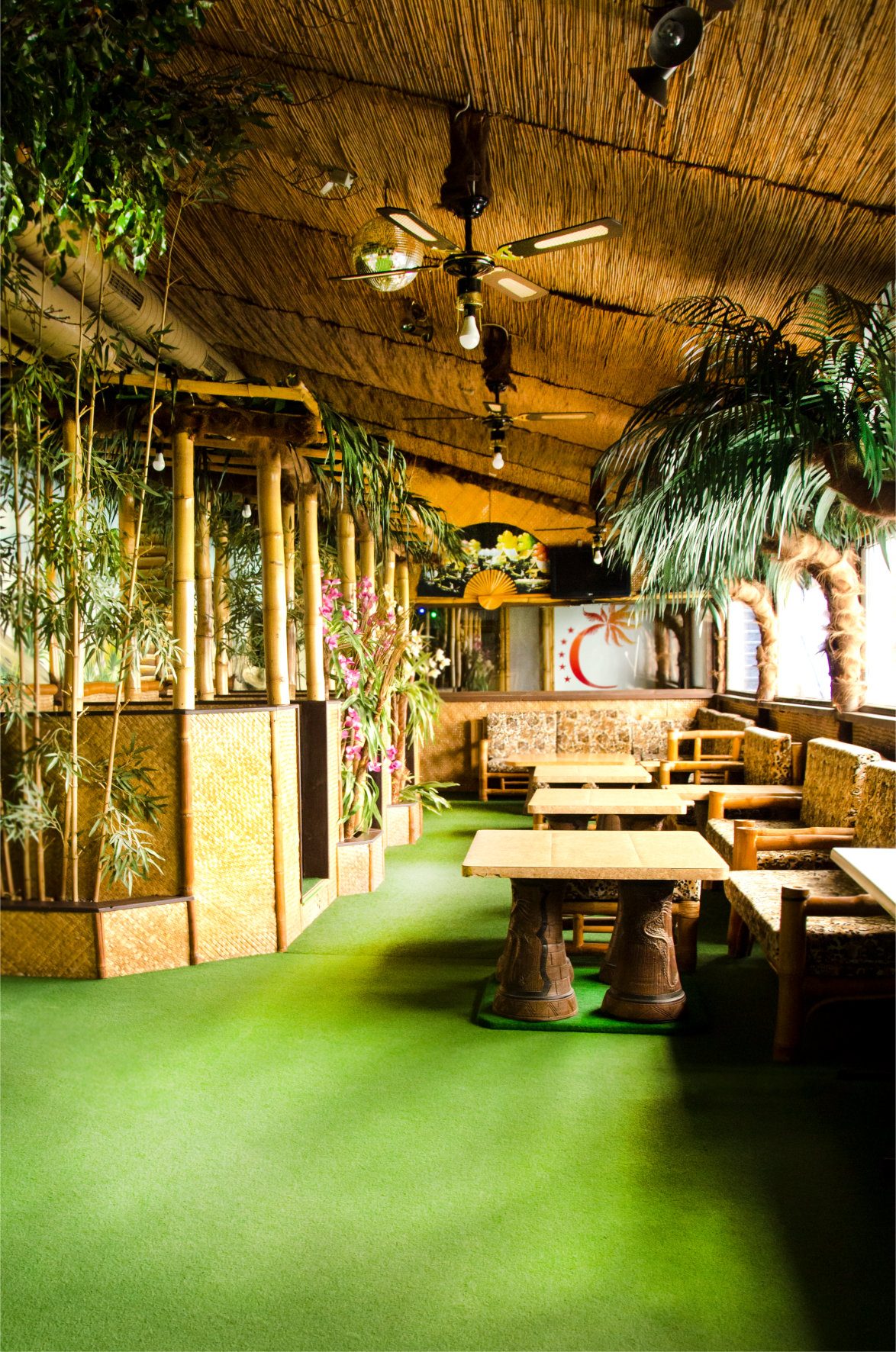 Erlebnissauna Caribik Swingerclub - Swinger Club in Seisenegg, Austria