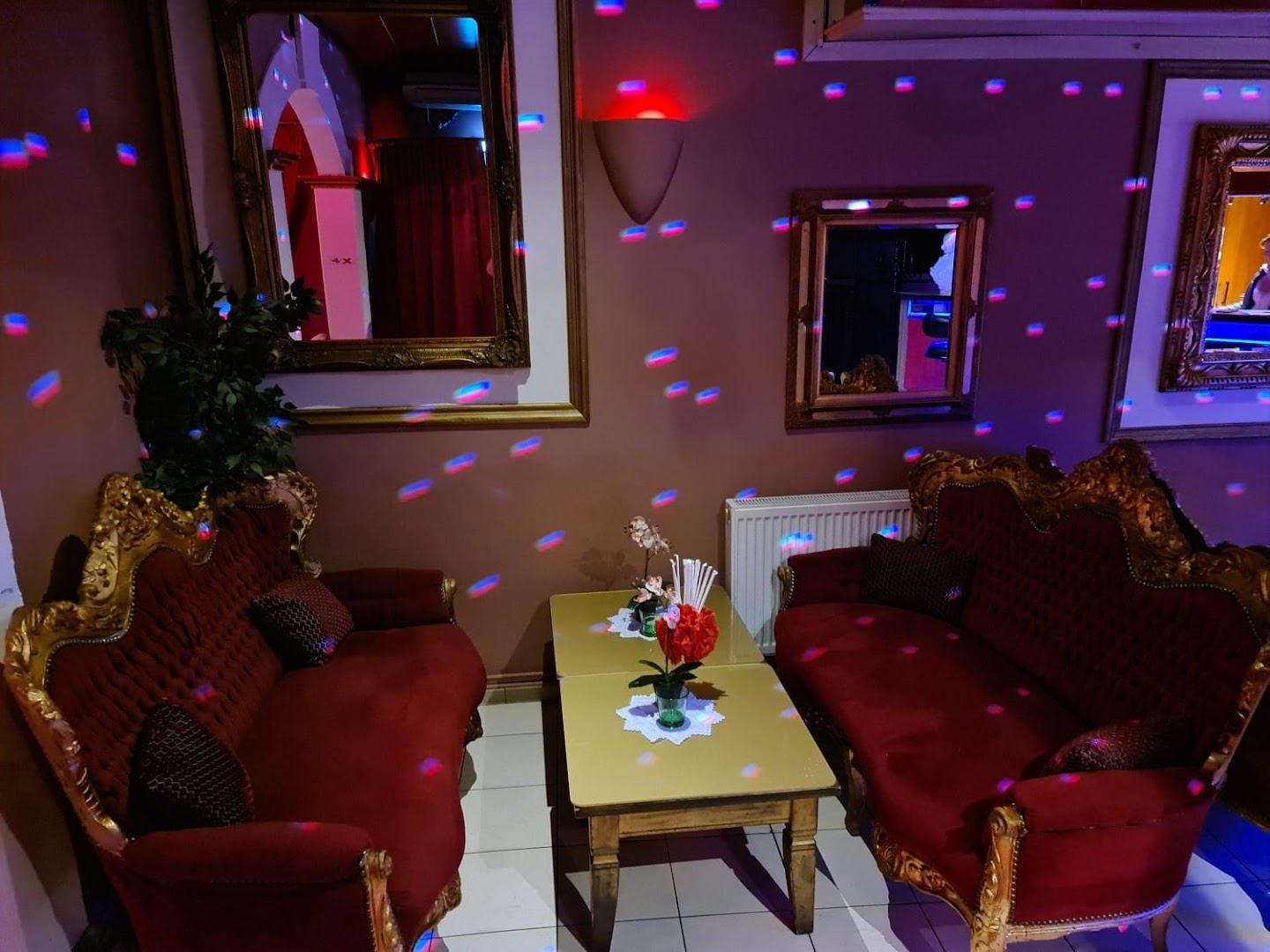 Nightclub Amore - Nightclub in Traiskirchen, Austria