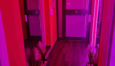 Amore Lounge Vermittlungsagentur - Brothel in Vienna, Austria
