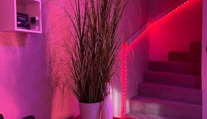 Breitenleer Eroticstudio Wien - Brothel in Vienna, Austria