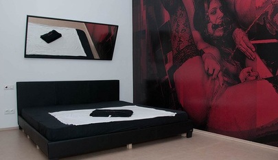 Max Winter First Class Sex - Brothel in Vienna, Austria