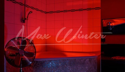 Max Winter First Class Sex - Brothel in Vienna, Austria