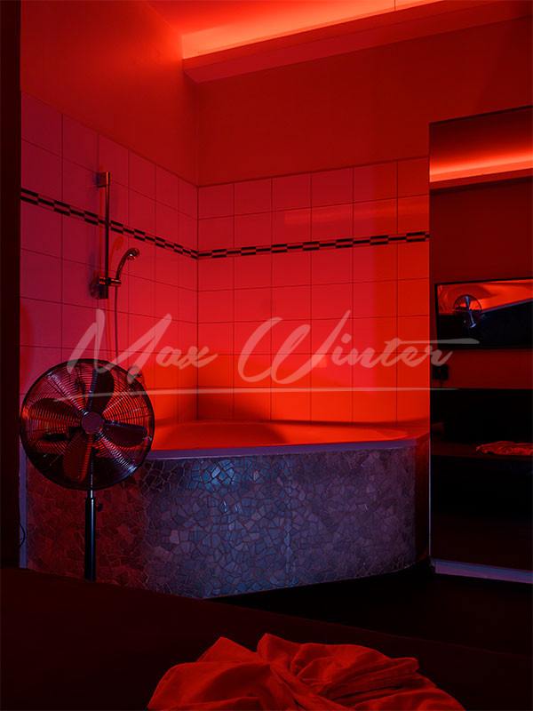 Max Winter First Class Sex - Brothel in Vienna, Austria