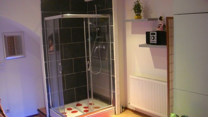 Asia Studio 31 - Erotic Massage in Vienna, Austria