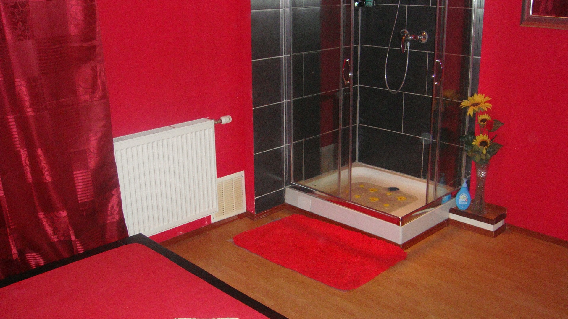 Asia Studio 31 - Erotic Massage in Vienna, Austria