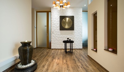Emotion Wellness - Erotic Massage in Vienna, Austria
