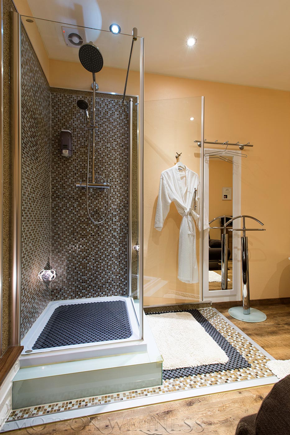 Emotion Wellness - Erotic Massage in Vienna, Austria