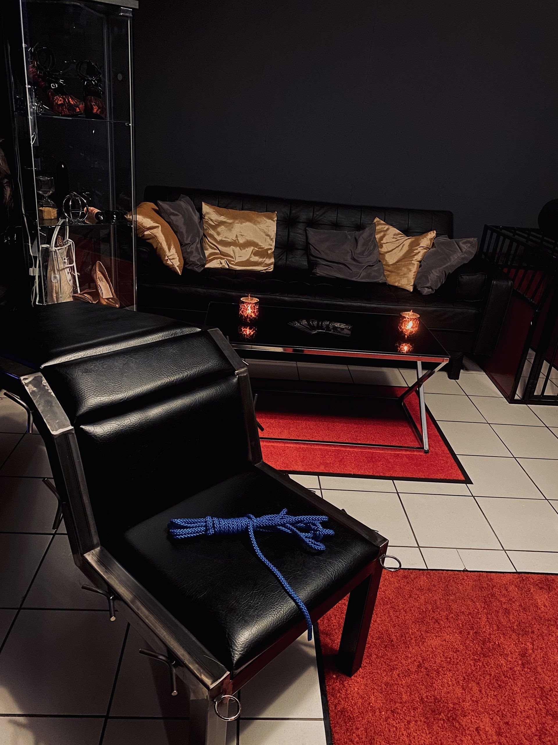 Institut Für Zucht Und Ordnung - Erotic Massage in Vienna, Austria