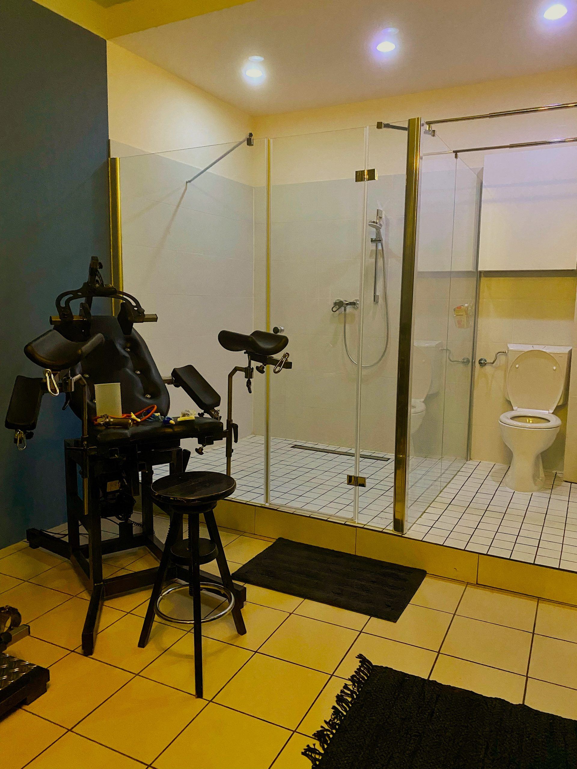 Institut Für Zucht Und Ordnung - Erotic Massage in Vienna, Austria