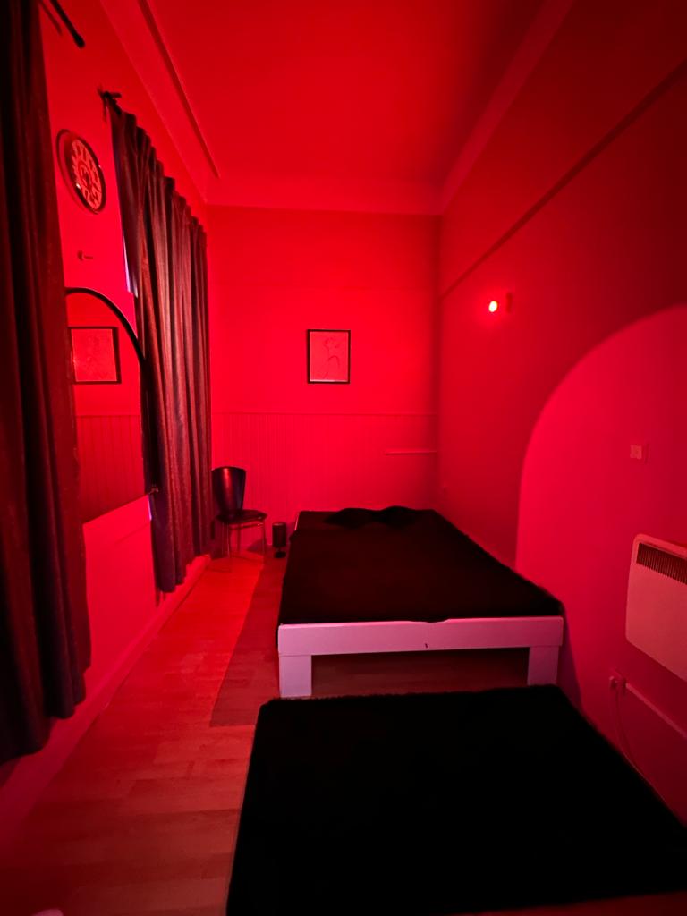 Studio 6 Lady Jurekgasse - Erotic Massage in Vienna, Austria