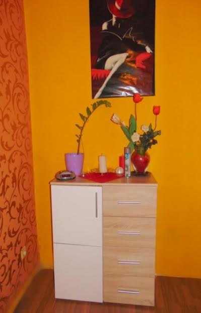 Studio-6lady - Erotic Massage in Vienna, Austria