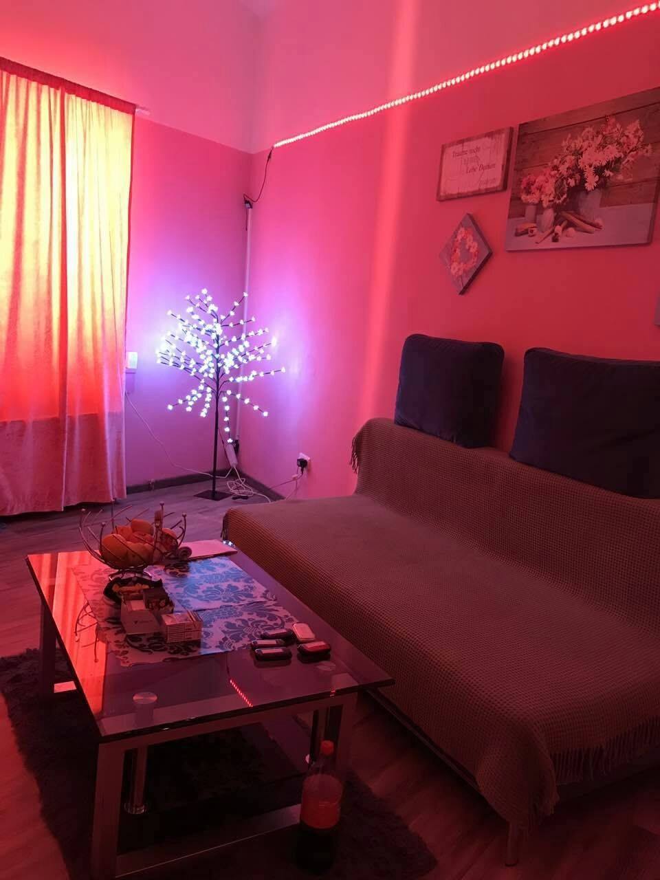 Studio Niko 64 - Erotic Massage in Vienna, Austria