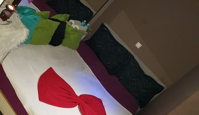 Studio Rose Salon Judith - Erotic Massage in Vienna, Austria
