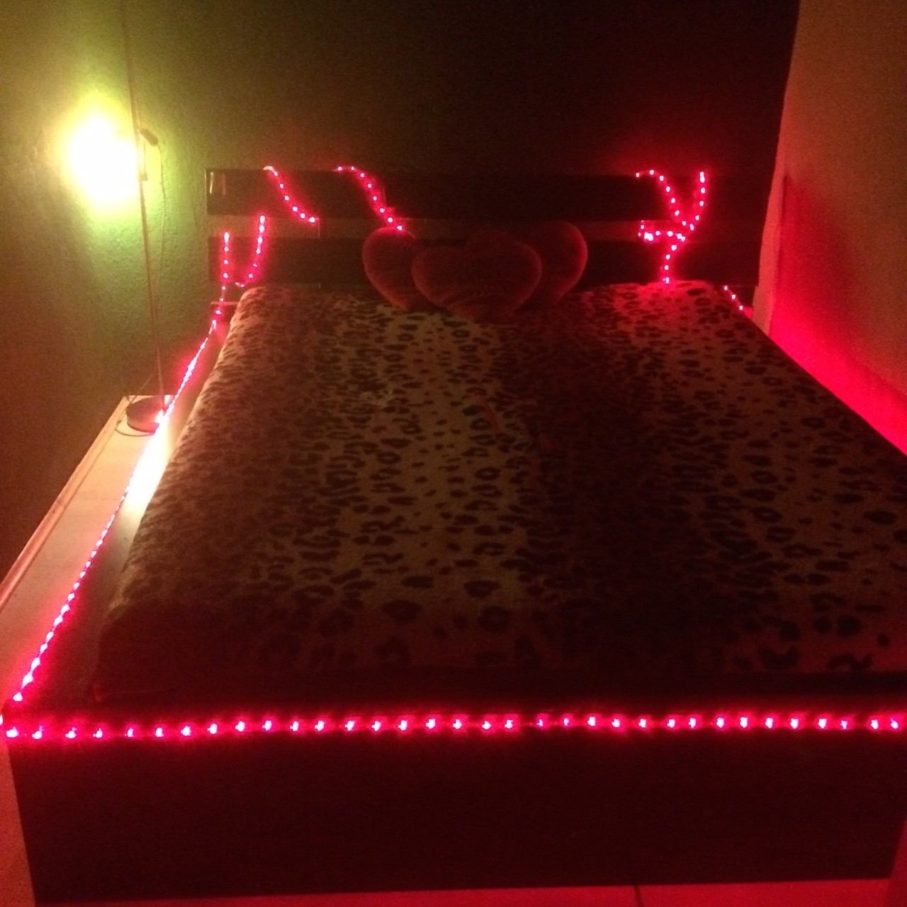 Studio Schüttelstraße - Erotic Massage in Vienna, Austria
