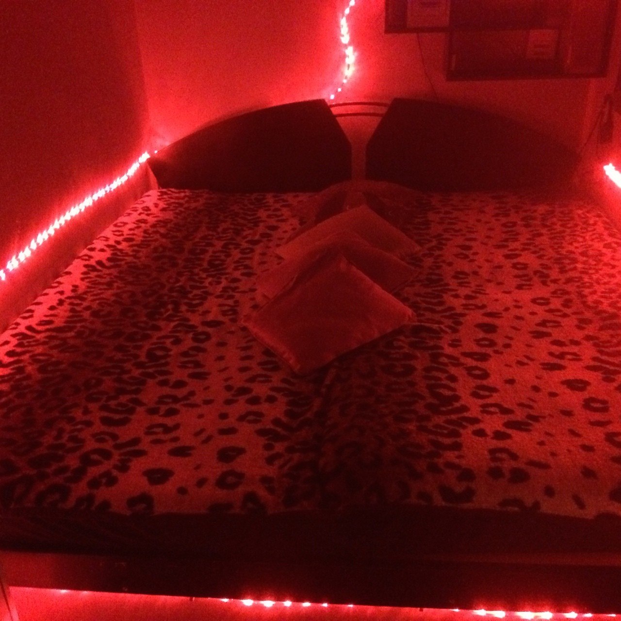 Studio Schüttelstraße - Erotic Massage in Vienna, Austria