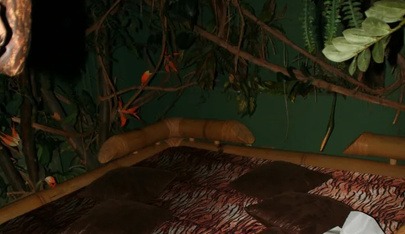 Swingerclub Frivoli - Swinger Club in Vienna, Austria