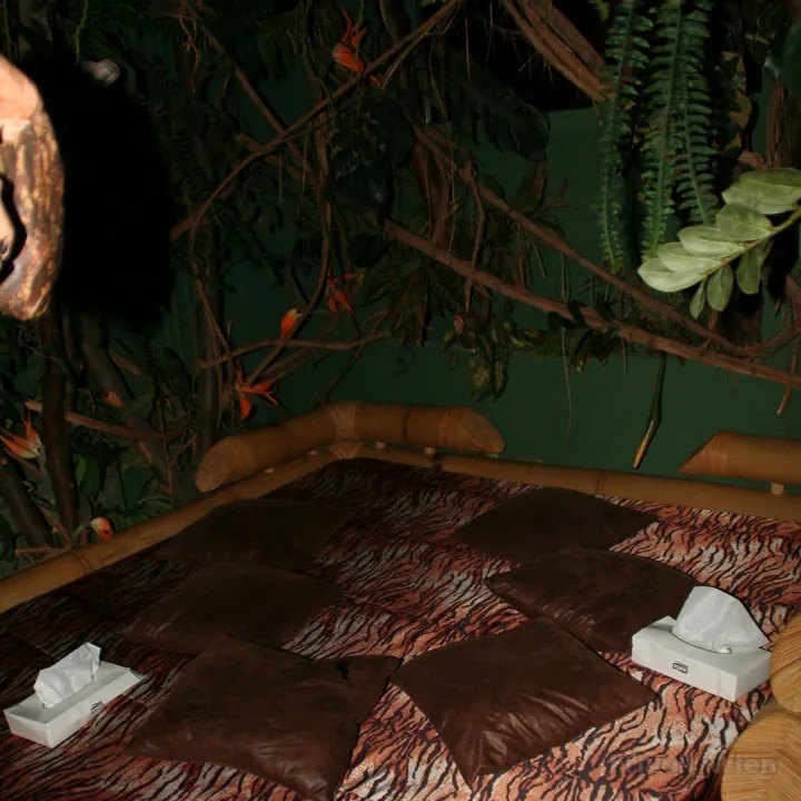 Swingerclub Frivoli - Swinger Club in Vienna, Austria