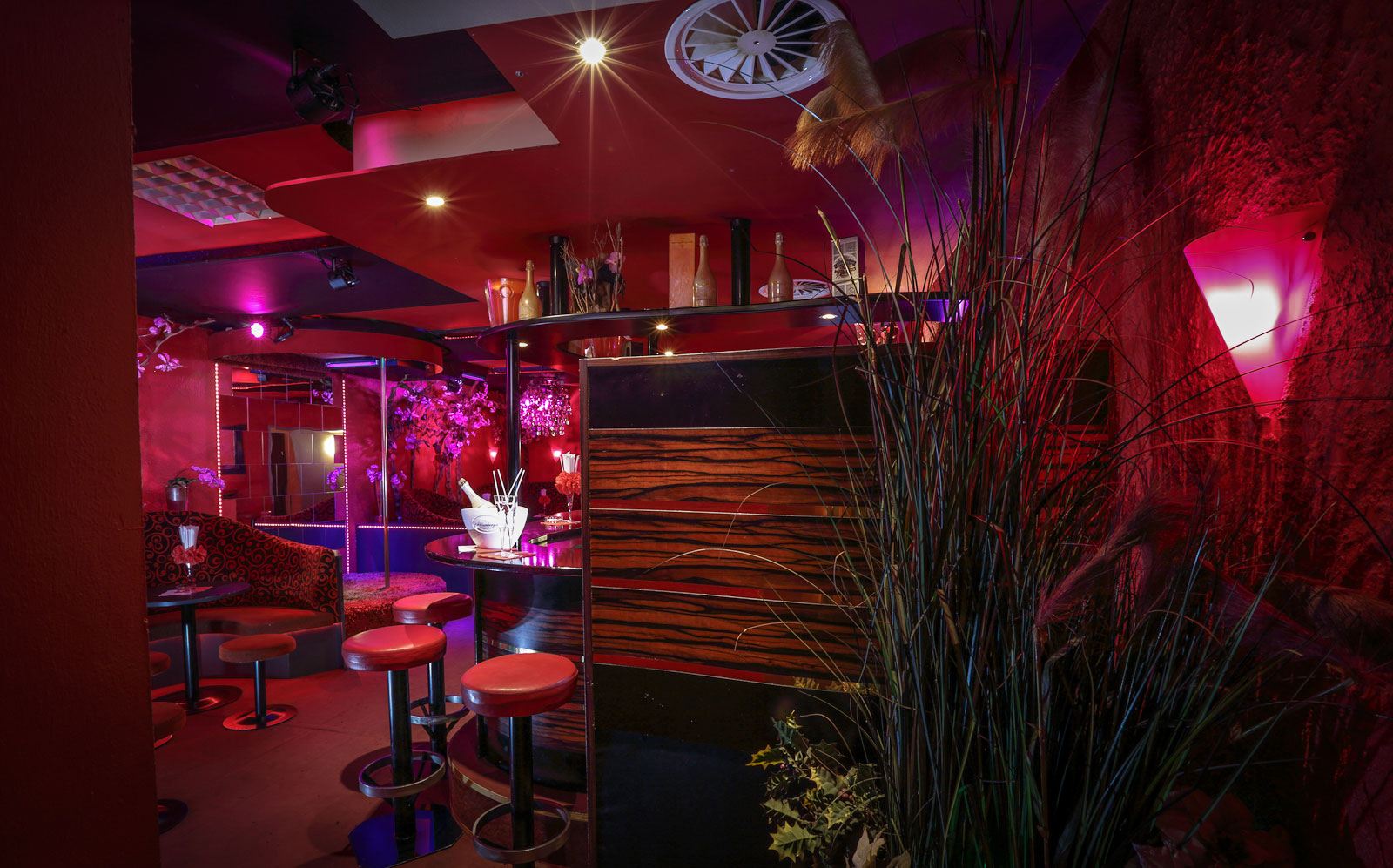 Bar Dolce Vita - Brothel in Wels, Austria