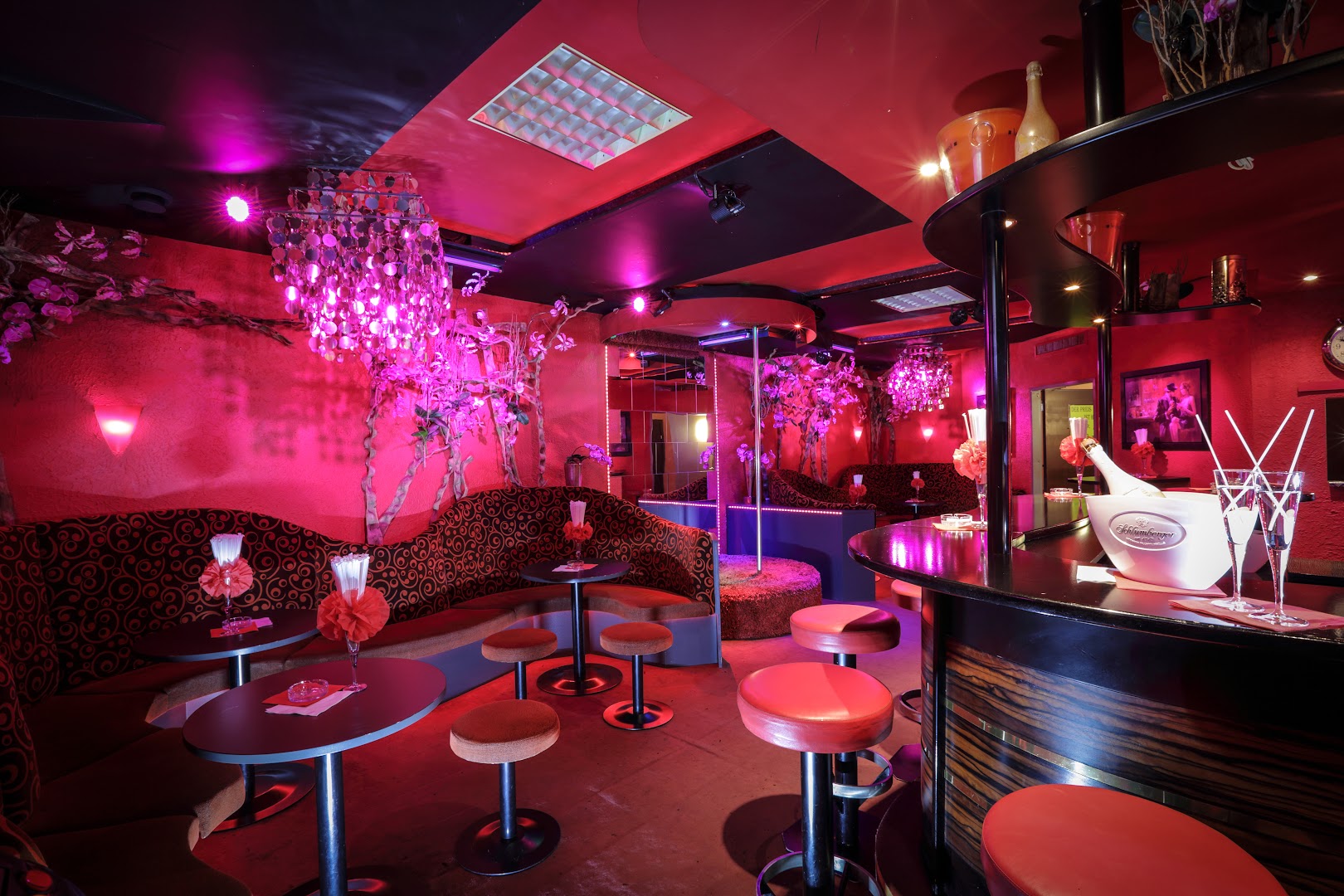 Bar Dolce Vita - Brothel in Wels, Austria
