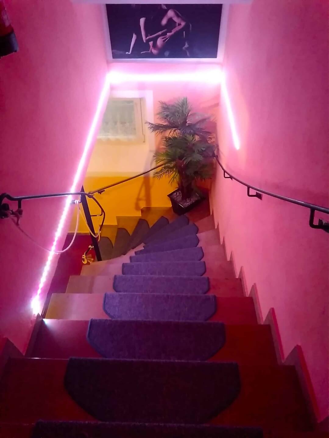 Swingerclub Bellevue - Swinger Club in Werfen, Austria