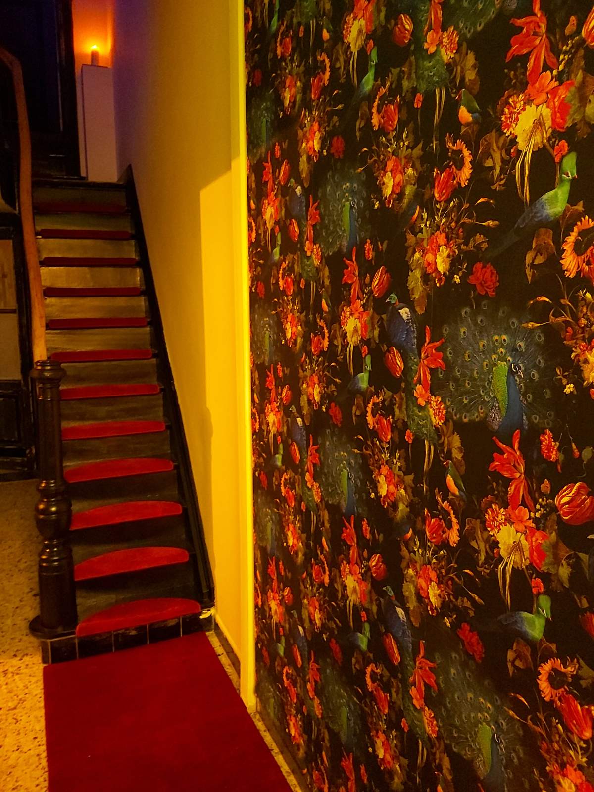 Andrea Massage Salon - Erotic Massage in Borsbeek, Belgium