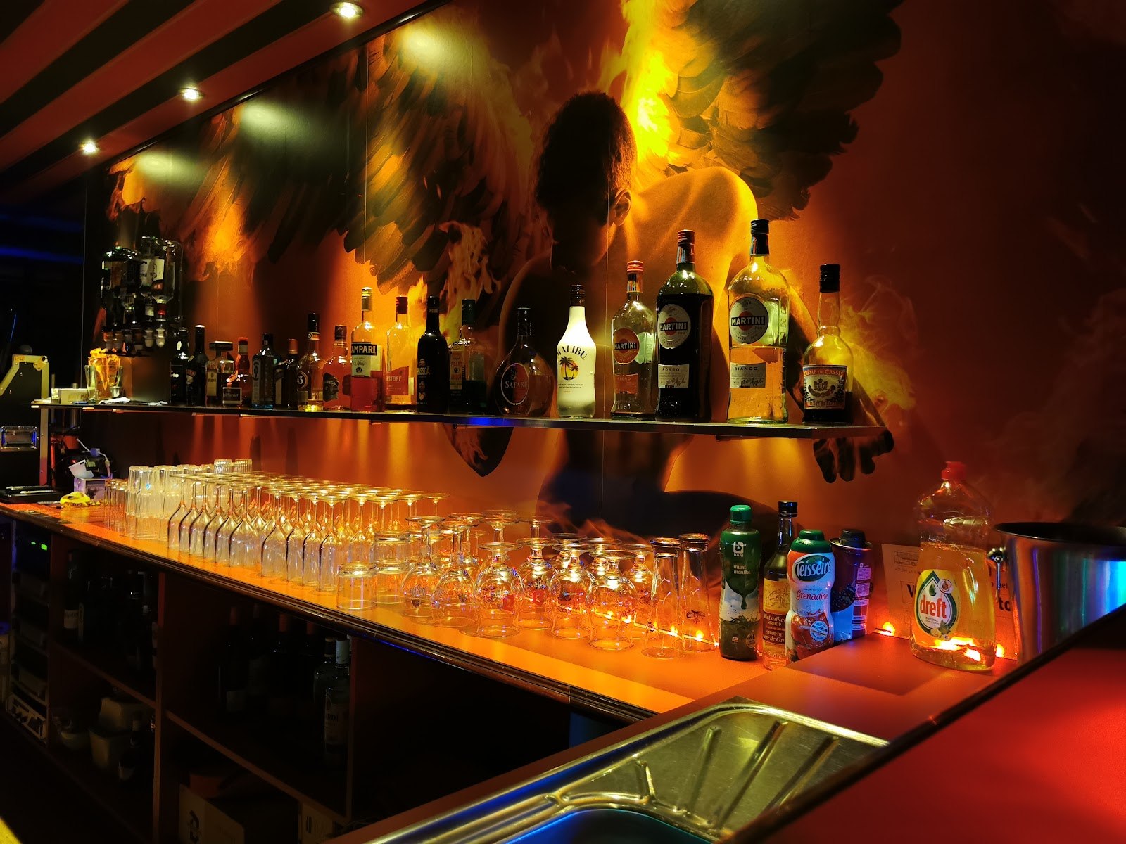 Club Adonis(gay Club, Men Only) - Swinger Club in Gent, Belgium