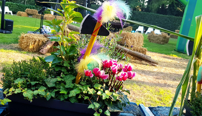 Acanthus - Swinger Club in Harelbeke, Belgium