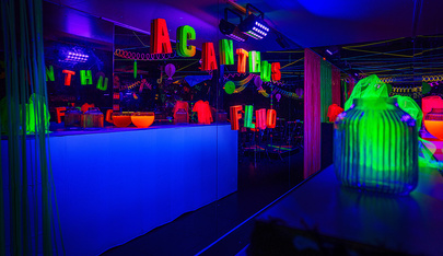 Acanthus - Swinger Club in Harelbeke, Belgium
