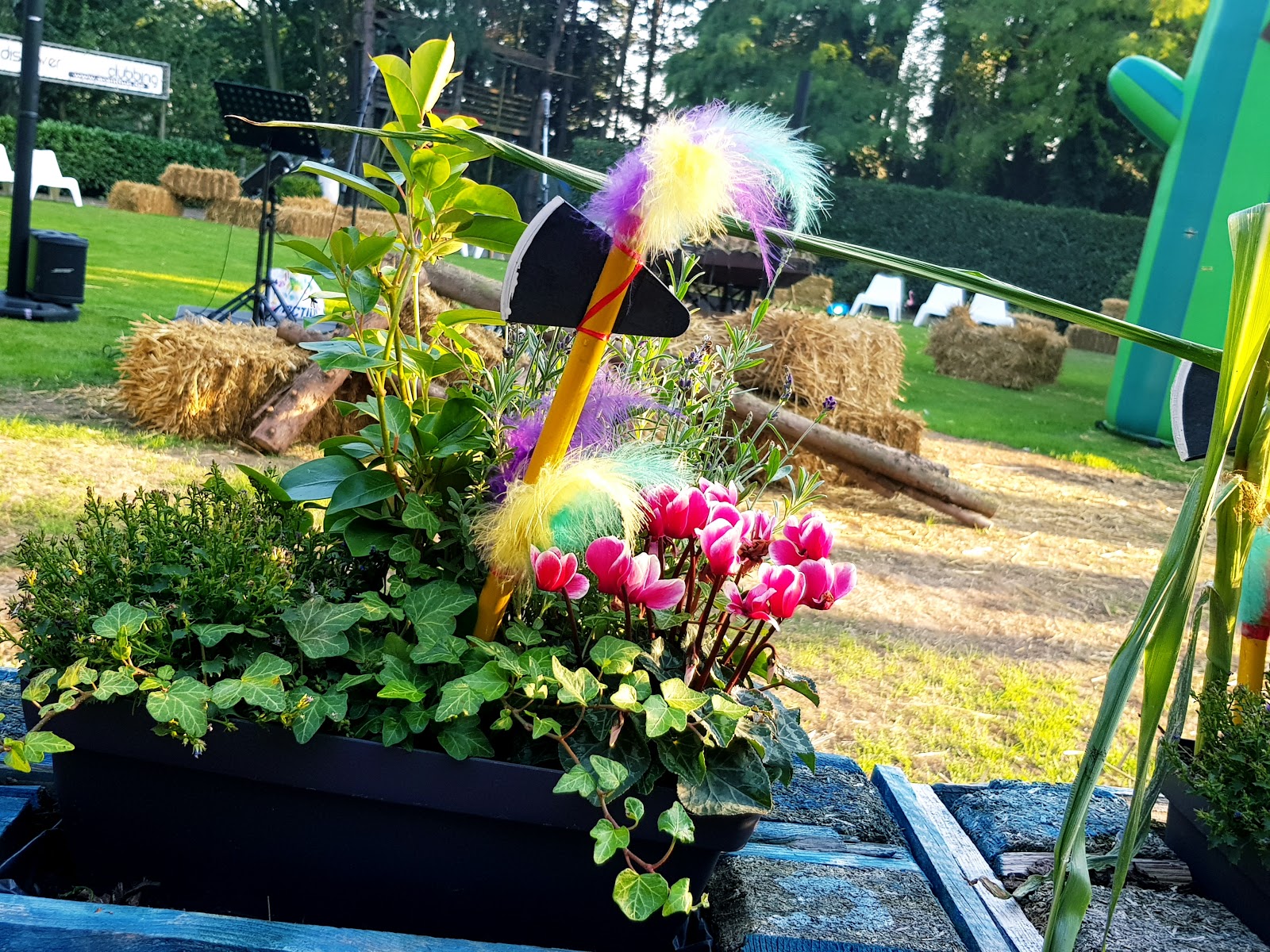 Acanthus - Swinger Club in Harelbeke, Belgium
