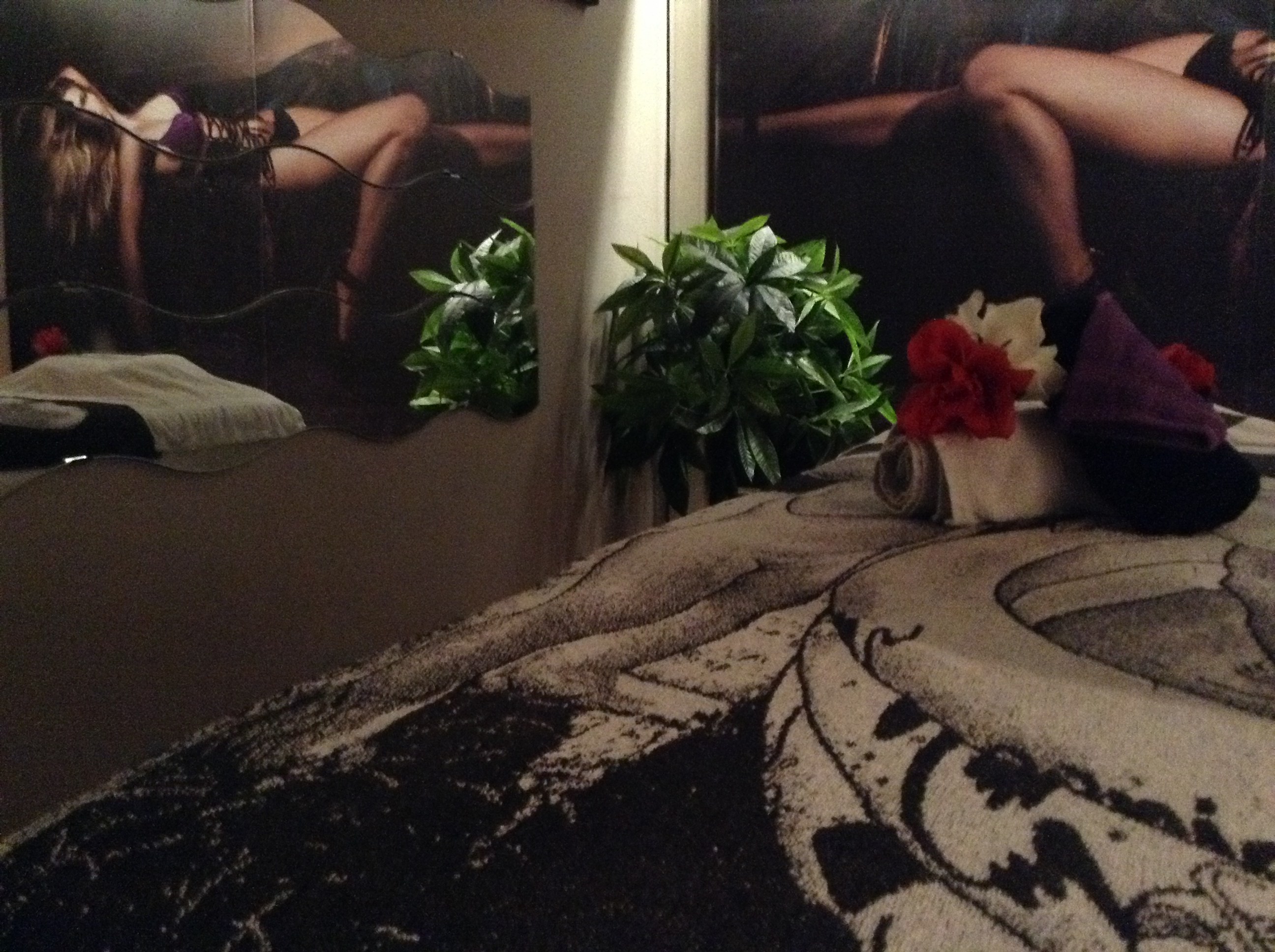 Maison Deluxe - Erotic Massage in Kontich, Belgium