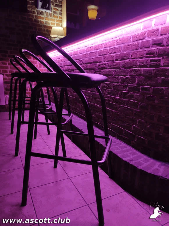 L'Ascott - Nightclub in Kortrijk, Belgium